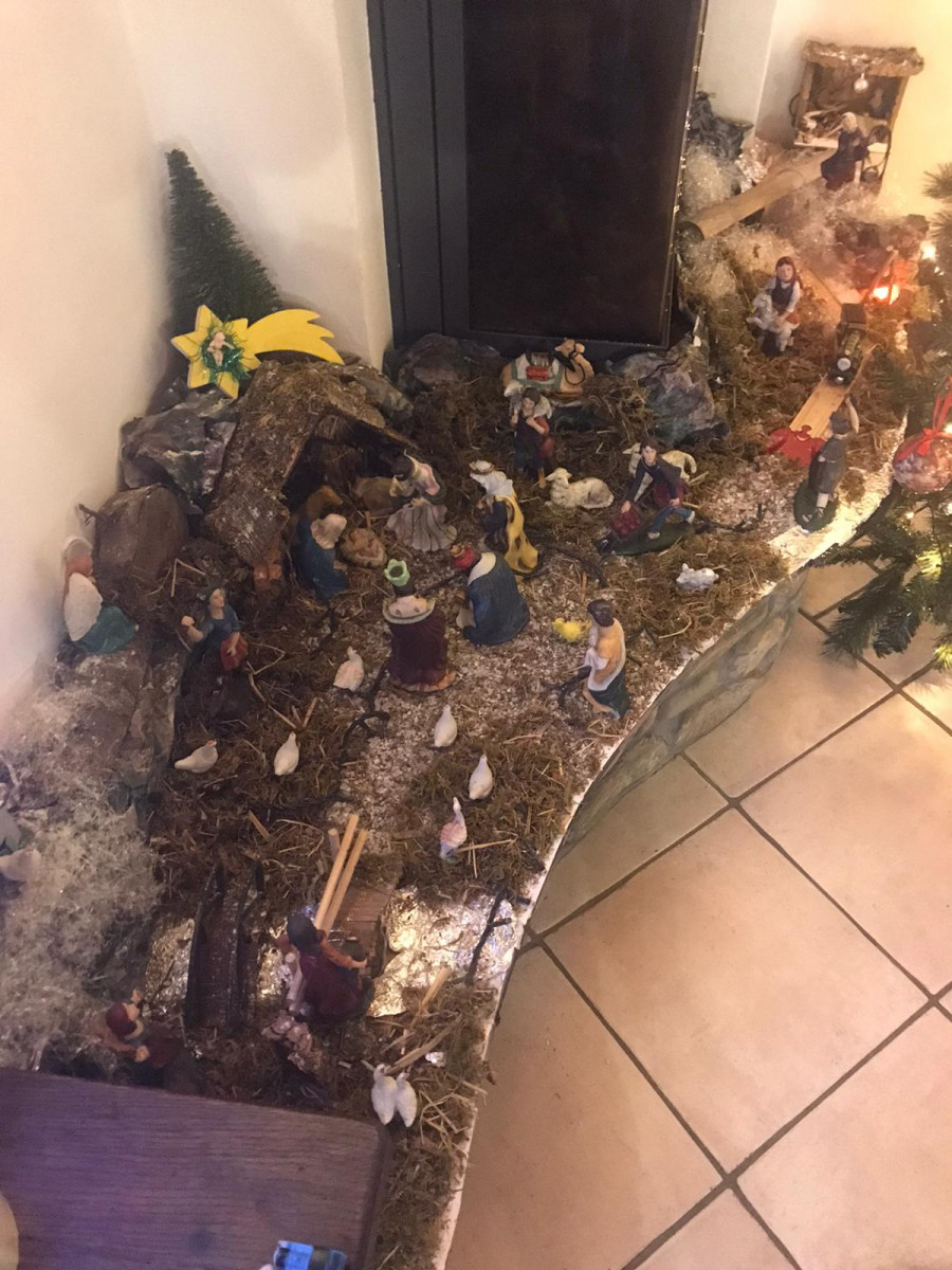 Mattia Manuzzi - Accoglienza